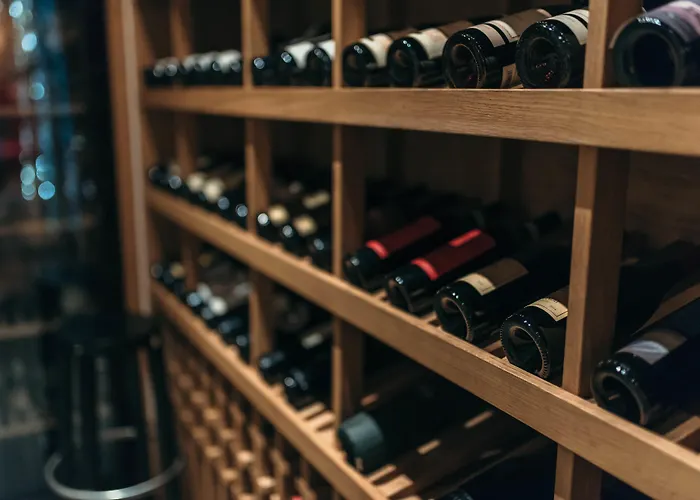 酒店 涂鸦画廊设计酒店 瓦爾納