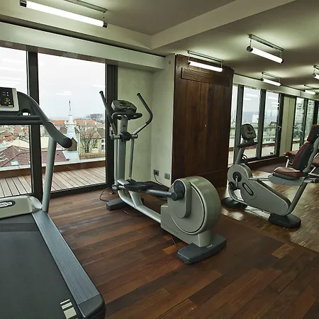 Graffit Gallery Design 5*