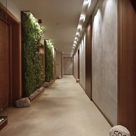 Graffit Gallery Design 5*