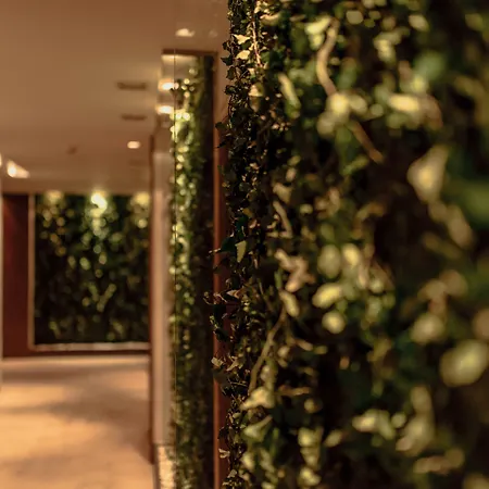 Hotel Graffit Gallery Design 5*