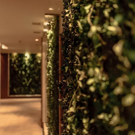 Graffit Gallery Design Hotel 5*